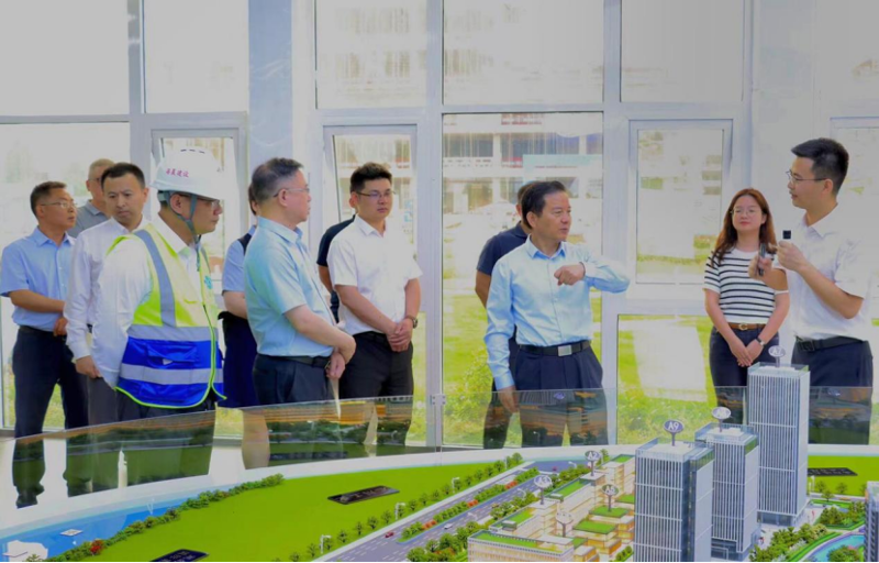 徐建平到岳阳自贸片区数字经济产业综合体建设项目调研