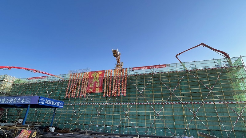 华南公司惠州立拓聚烯烃项目首个大型单体建筑封顶