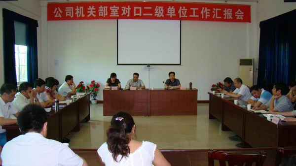公司举行机关部室对口二级单位工作汇报