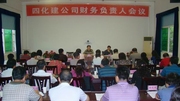 公司召开财务负责人专题会议