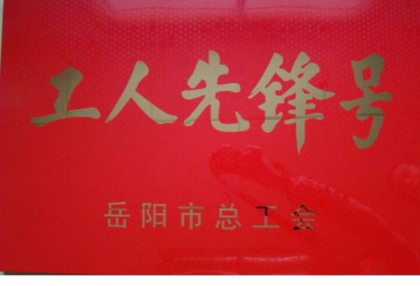 公司工会荣获岳阳市2010年度先进单位