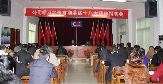 公司举行学习贯彻十八大精神报告会