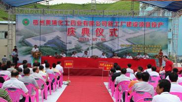 华南分公司承建的梧州黄埔化工药业新厂举行投产仪式