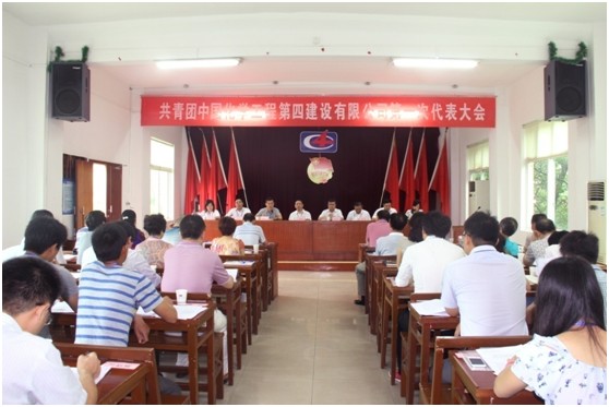 公司召开第一次团员代表大会