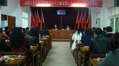 公司认真传达学习十二届全国人大三次会议精神