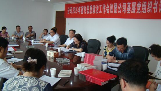 公司召开2015年宣传思想政治工作会议暨公司基层党组织书记集中培训