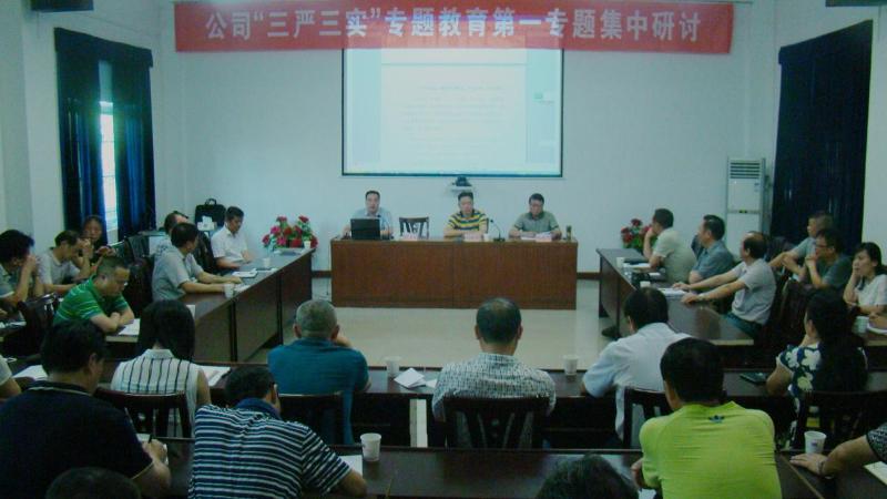 公司开展“三严三实”专题教育第一专题集中研讨