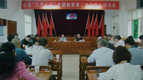 公司召开“三严三实”第二专题集中研讨会