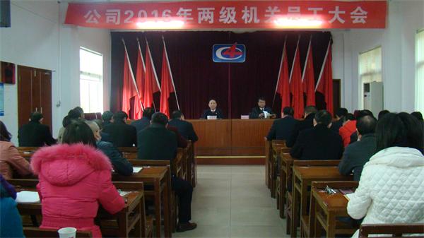 公司召开2016年两级机关员工大会