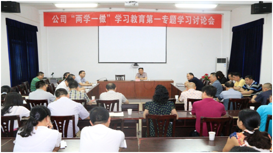 公司召开“两学一做”学习教育第一专题学习讨论会