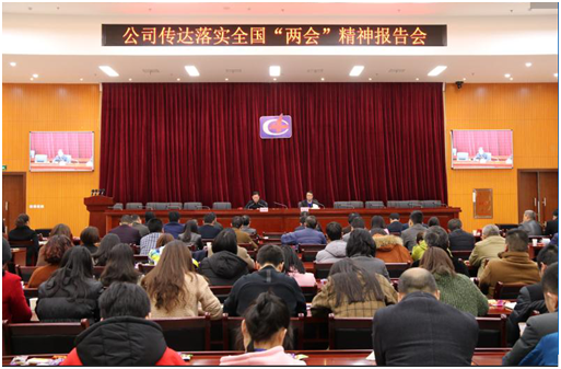 公司认真传达学习十三届全国人大一次会议精神