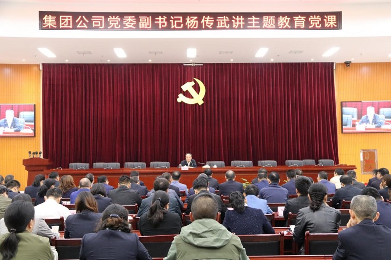 集团公司党委副书记杨传武到公司讲主题教育党课