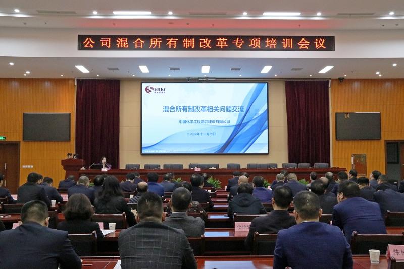 公司举行混合所有制改革专项培训会