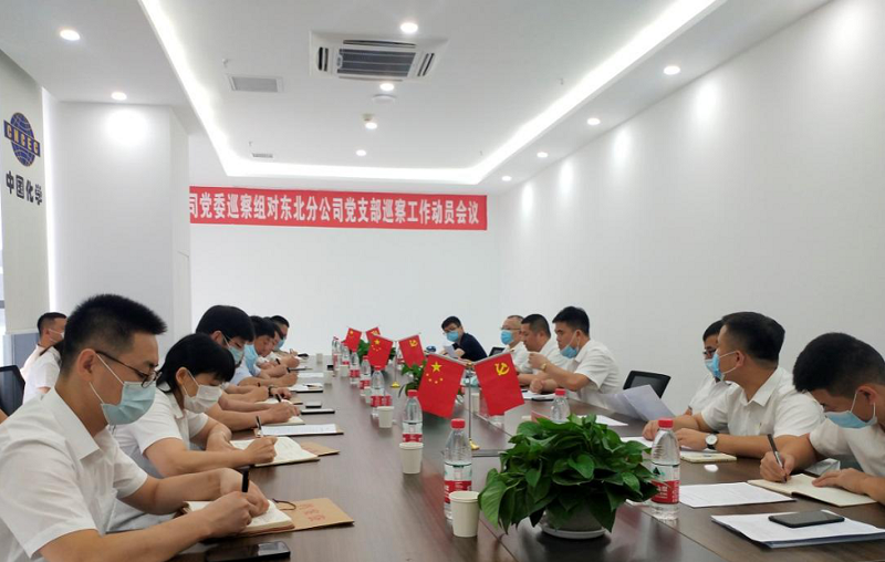 公司党委巡察组进驻东北分公司党支部开展巡察工作