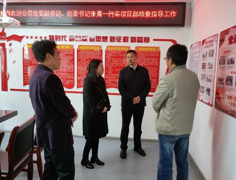 张勇到岳阳中心城区污水项目部开展党建工作检查