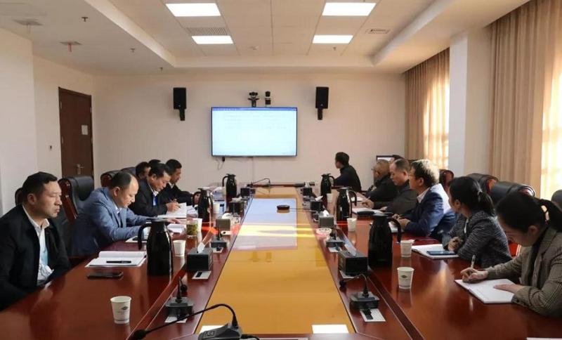 公司党委理论学习中心组学习贯彻党的十九届六中全会精神