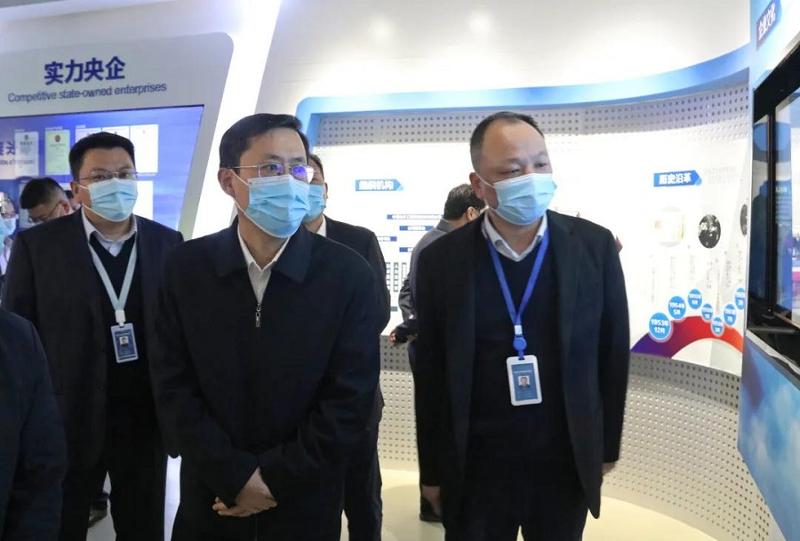 王一鸥到公司调研指导工作