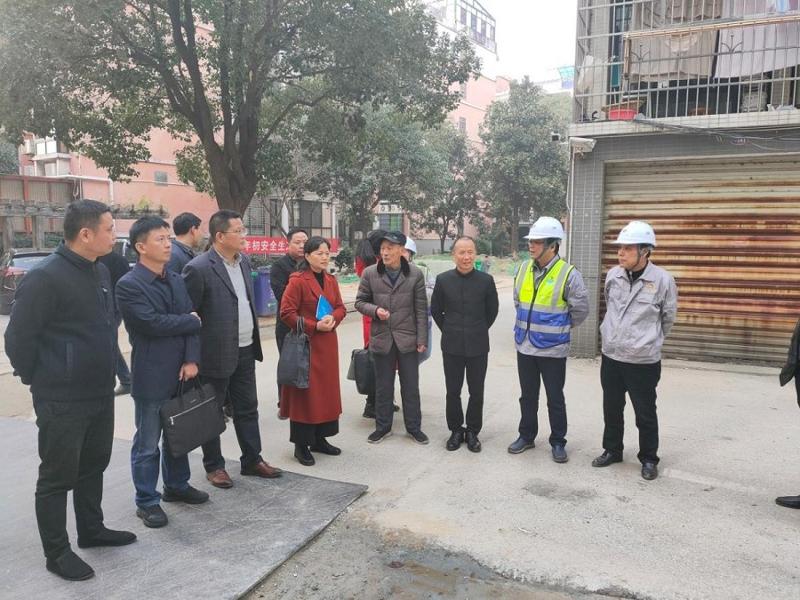 岳阳市政协委员集中视察公司中心城区污水项目
