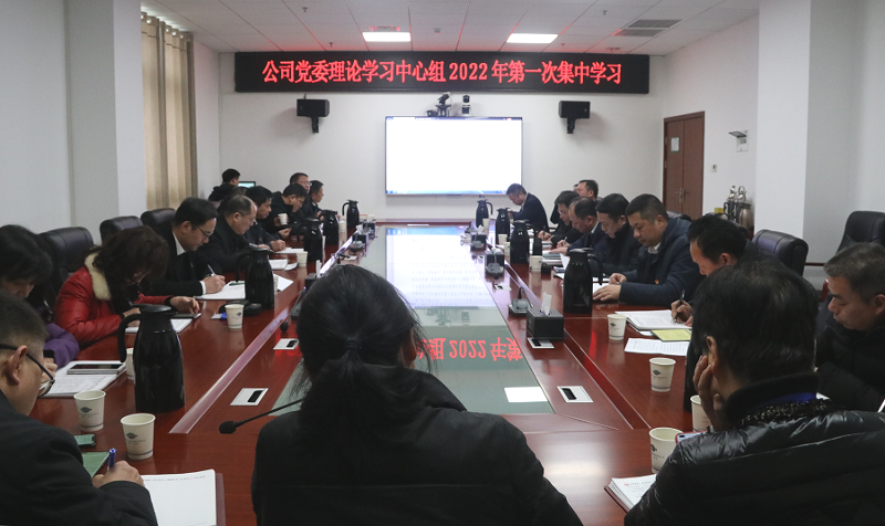 公司党委理论学习中心组召开“新春第一课”