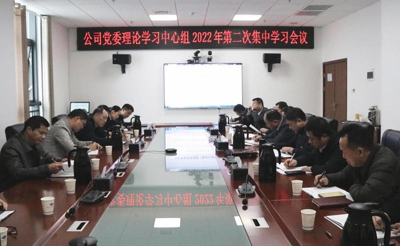 公司党委理论学习中心组举行2022年第二次集中学习