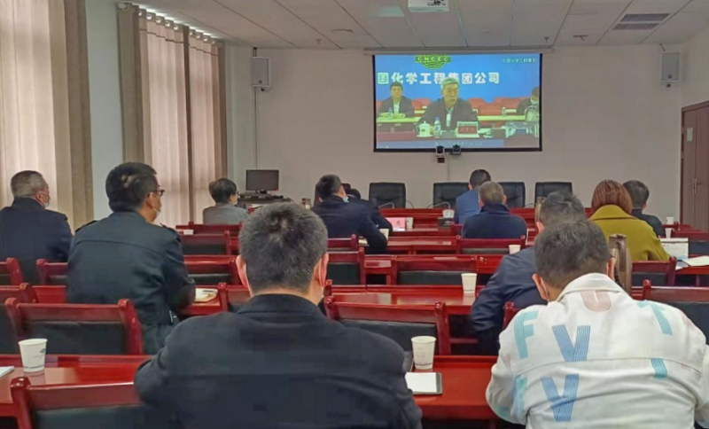 公司参加集团境外中方员工安全风险防范线上培训