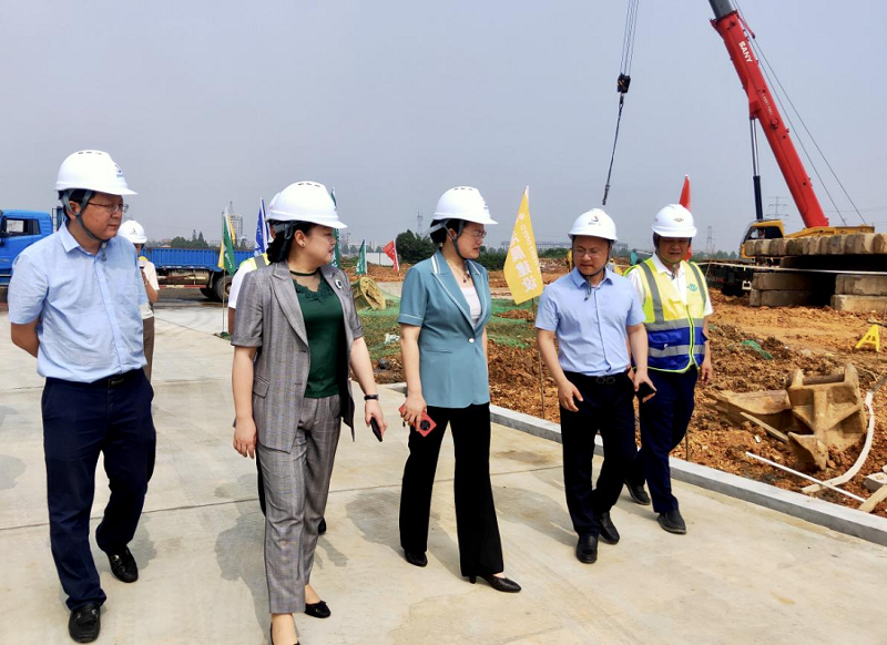魏淑萍一行调研岳阳自贸片区EOD建设项目