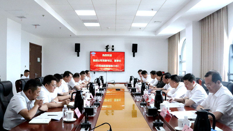 戴和根到公司调研指导工作