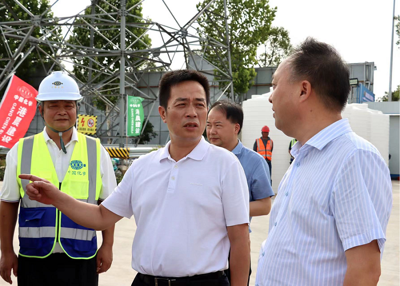 汪涛到岳阳自贸片区EOD建设项目调研