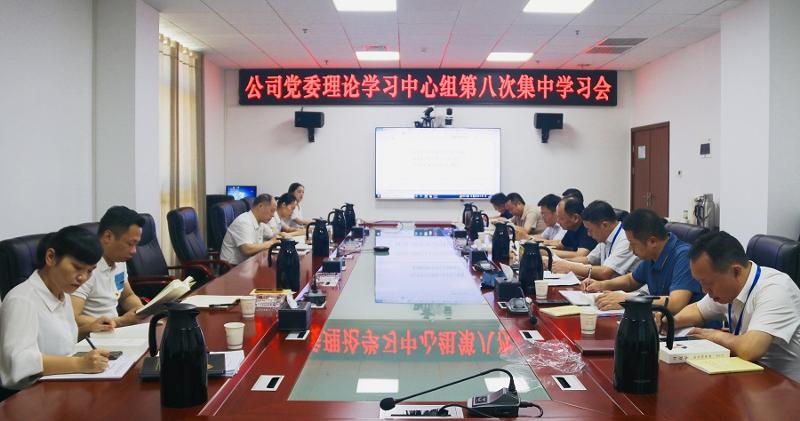 公司党委理论学习中心组举行第八次集中学习