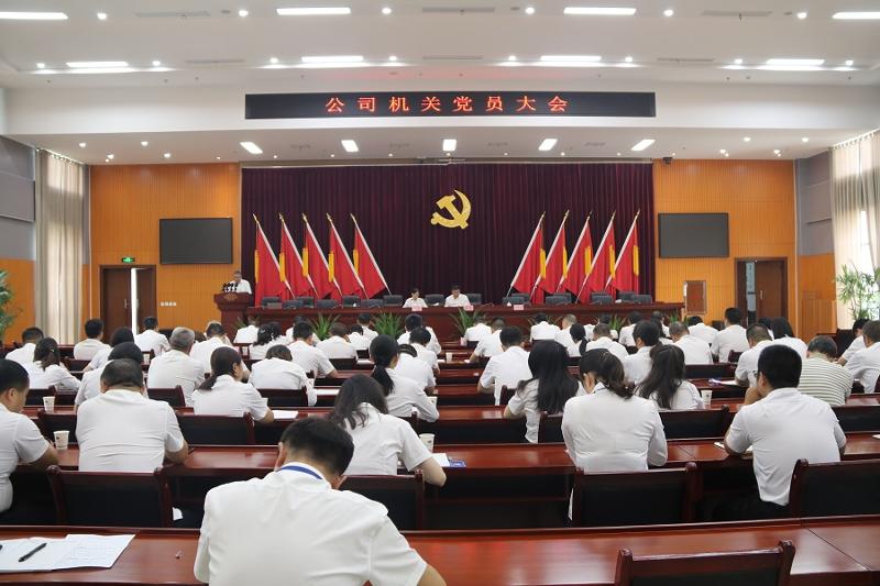 公司党群视窗