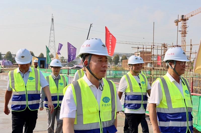 刘德辉到岳阳自贸片区EOD建设项目调研指导工作