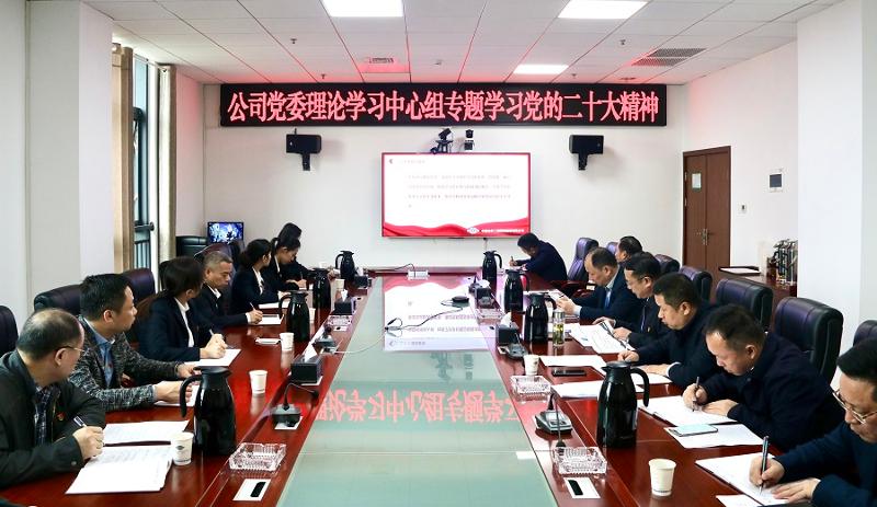 公司党委理论学习中心组专题学习党的二十大精神