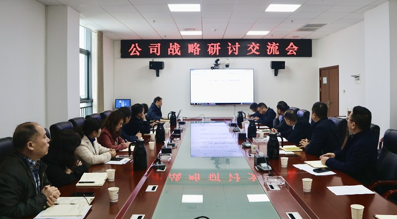 公司召开战略研讨交流会