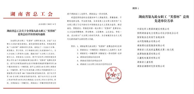 公司荣获湖南省“芙蓉杯”竞赛先进单位