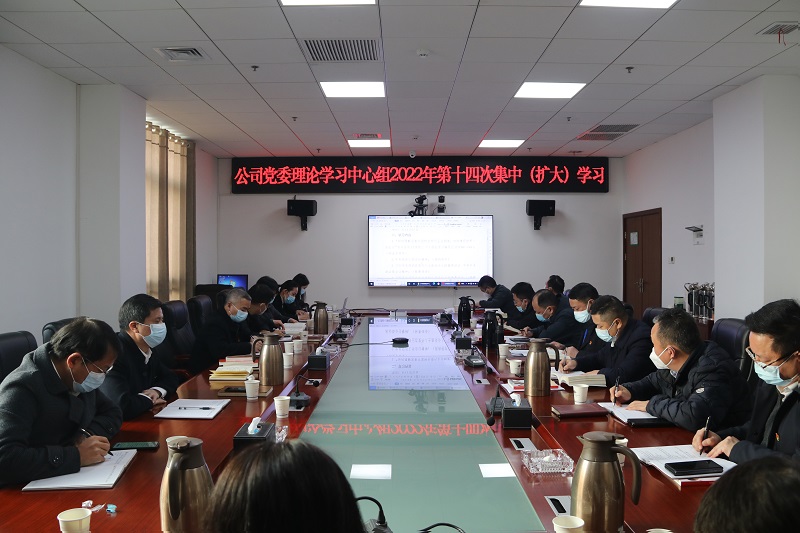 公司党委理论学习中心组传达学习中央经济工作会议精神