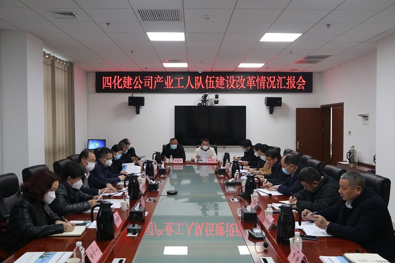 湖南省考核组来公司考核调研产改工作