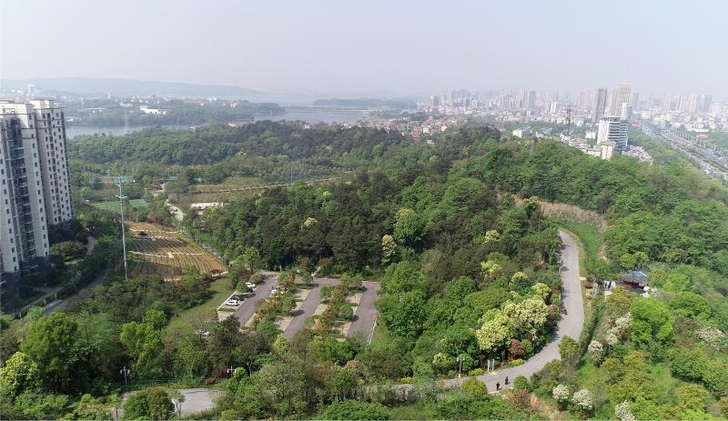 岳阳市珍珠山建设项目一期