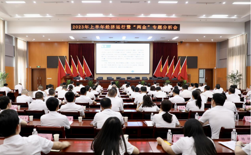 公司召开2023年上半年经济运行分析会议