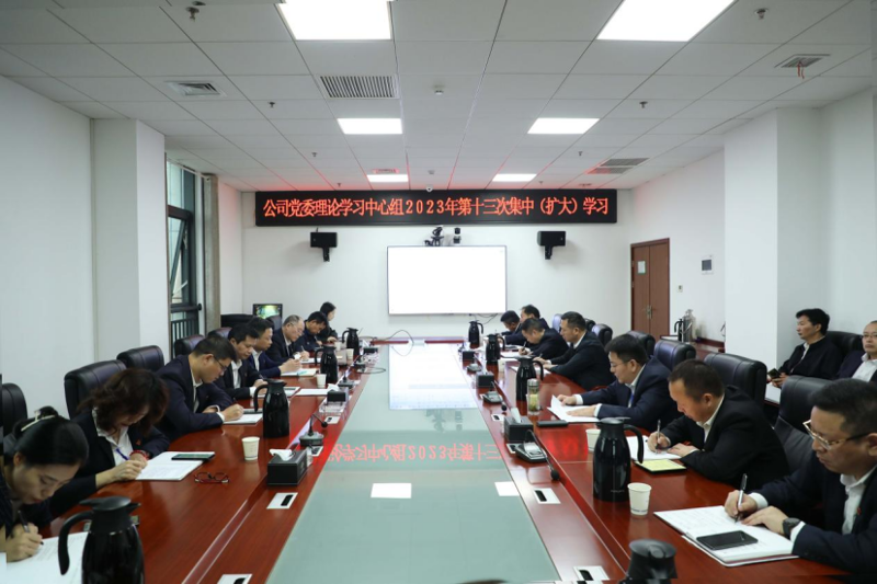 公司党委举行理论学习中心组2023年第十三次集中（扩大）学习