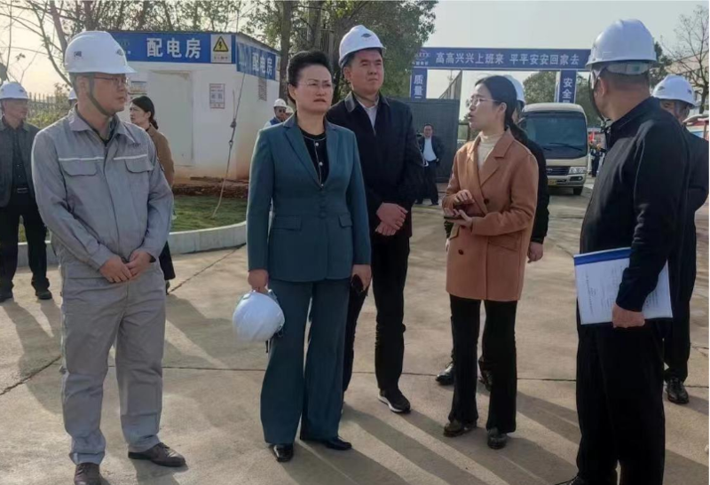 魏淑萍到市政公司岳阳县晶易医药首期项目调研