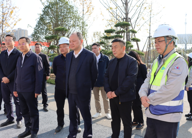 王殿常到公司岳阳污水治理项目部调研