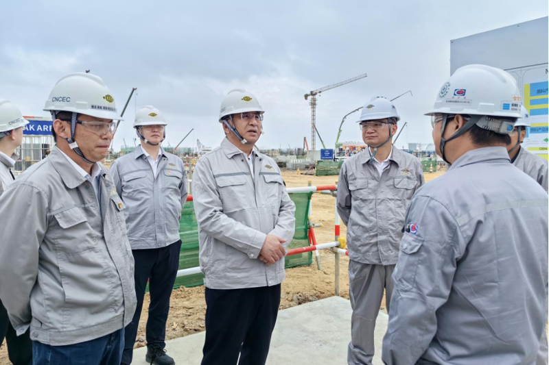 戴和根到公司湛江一体化项目调研指导工作