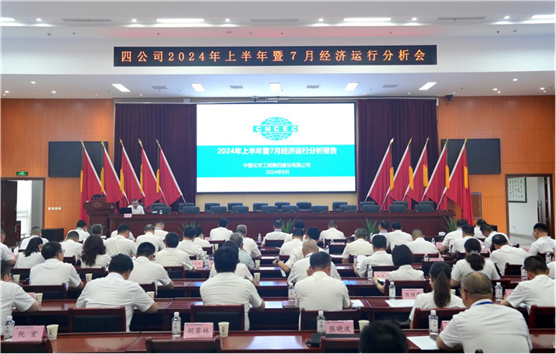 公司召开2024年上半年暨7月经济运行分析会议