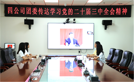 青春向党 挺膺担当 | 公司团员青年深入学习贯彻党的二十届三中全会精神、集团公司和公司系列重要会议精神