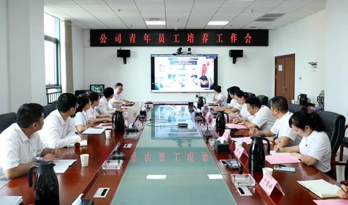 公司召开青年员工培养工作会