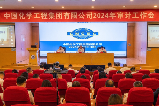 中国化学召开2024年审计工作会
