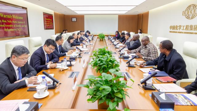 赞比亚国民议会议长内莉·穆蒂率团参访中国化学