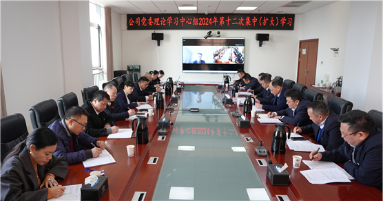 公司党委举行理论学习中心组2024年第十二次集中（扩大）学习