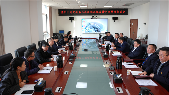 公司党委召开巡视反馈问题整改部署会