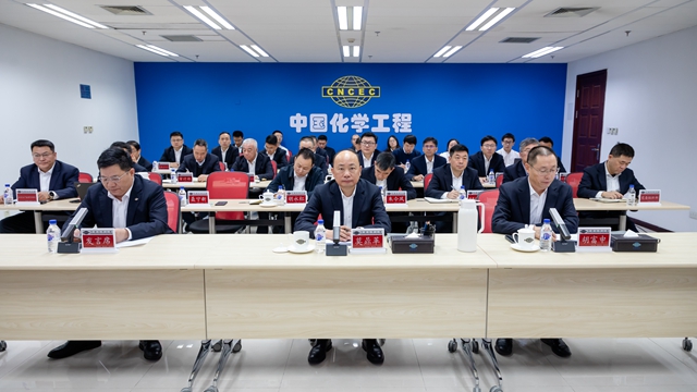 中国化学召开2025年一季度安全质量环保工作例会
